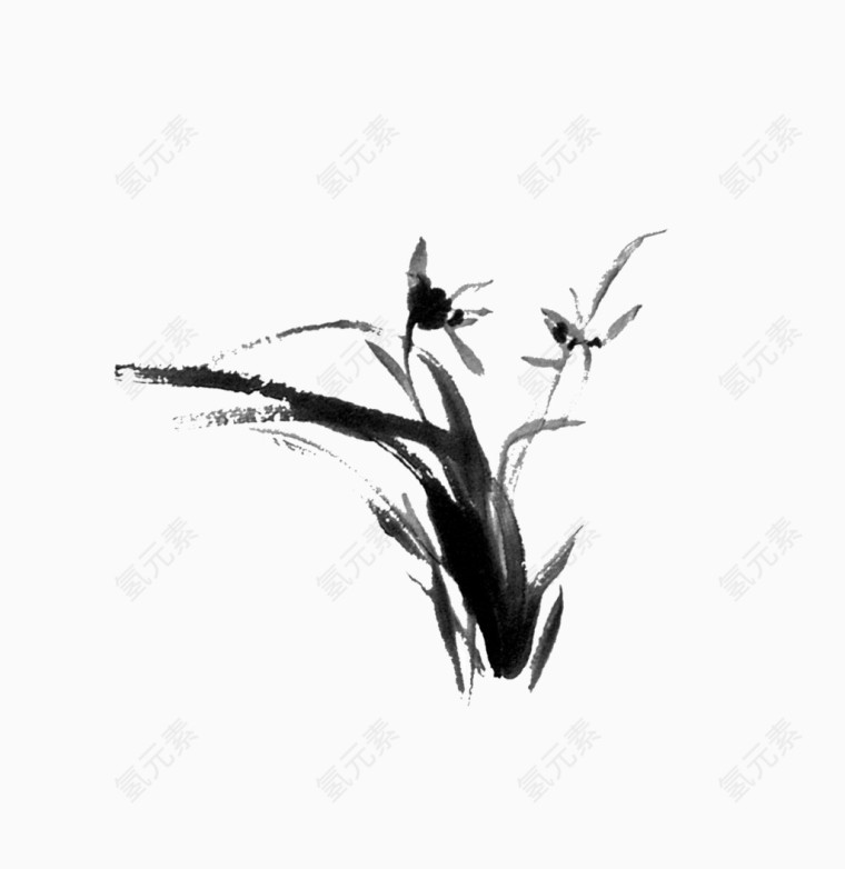 兰花