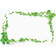 绿色藤蔓边框