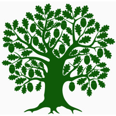 绿色的松子松树剪影