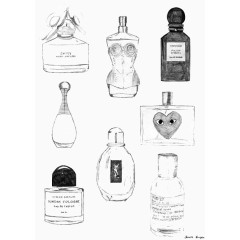 手绘插画香水瓶