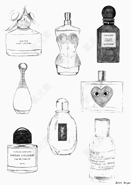 手绘插画香水瓶