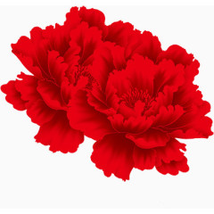 红色花卉