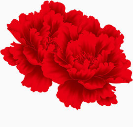 红色花卉