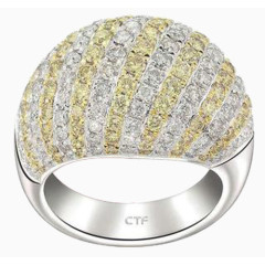 高贵优雅的戒指