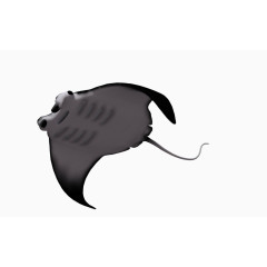 海洋动物海底生物