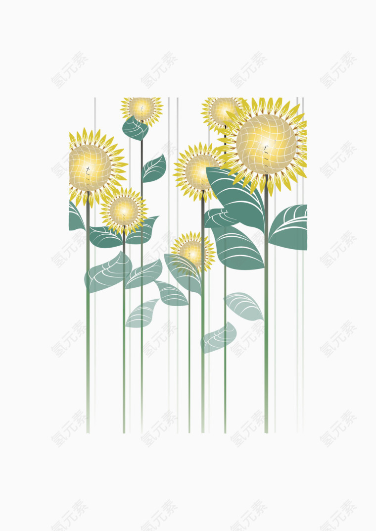 太阳花