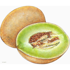 手绘哈密瓜