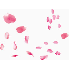 花瓣