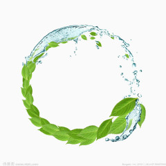 水与叶子