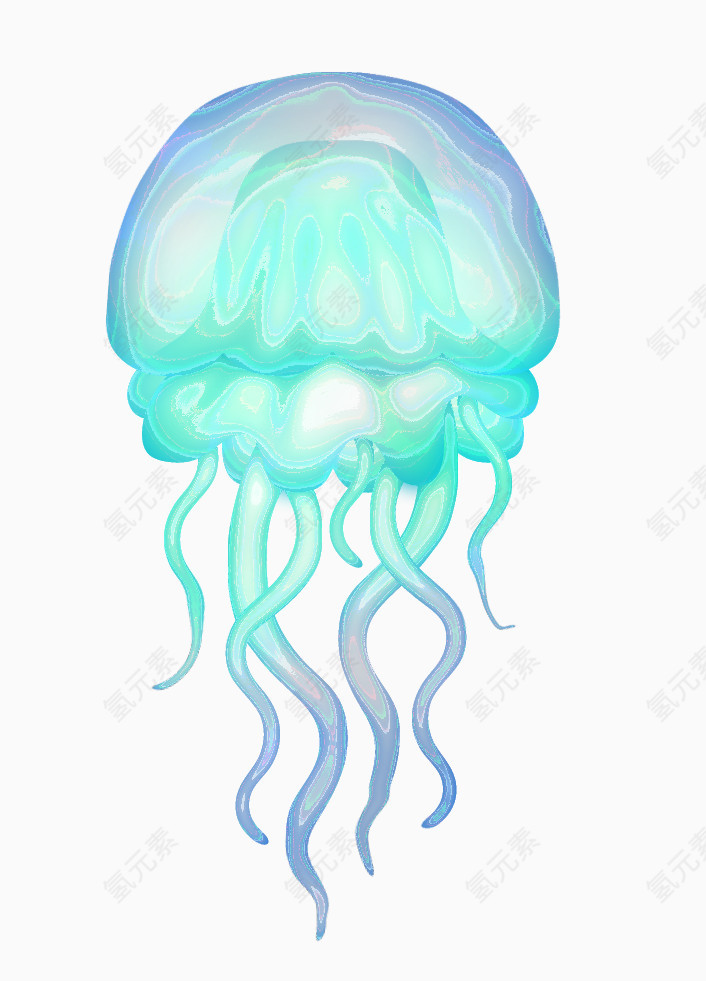 卡通水母