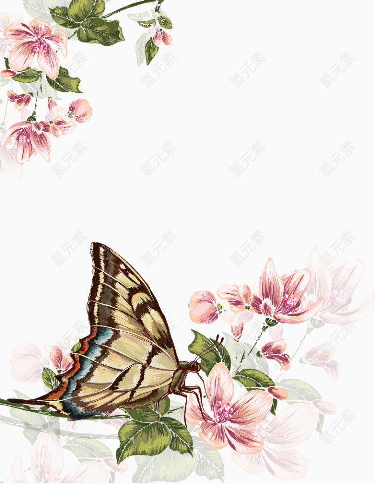 手绘蘑菇