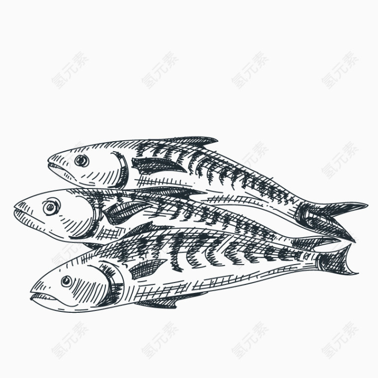 手绘线描鱼类
