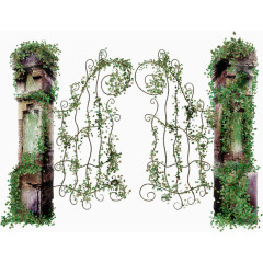 藤缠门PNG免扣素材