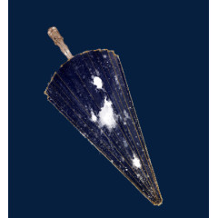 中国古风水彩雨伞