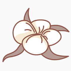 手绘棉花