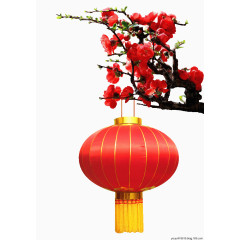 灯笼与梅花