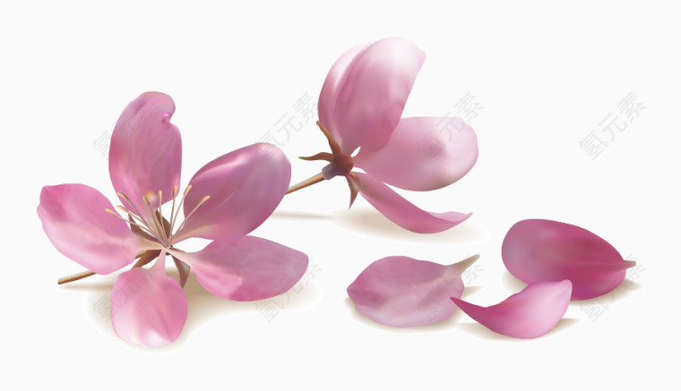 手绘桃花粉色