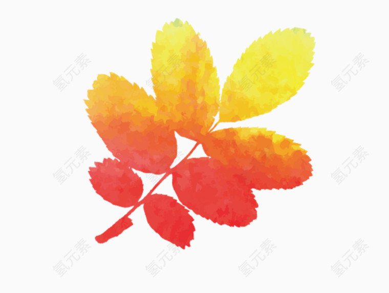 小清新手绘水彩叶子漂浮