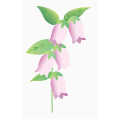 日系小清新花朵