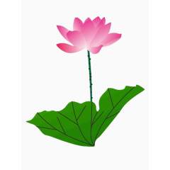 一朵粉色的莲花