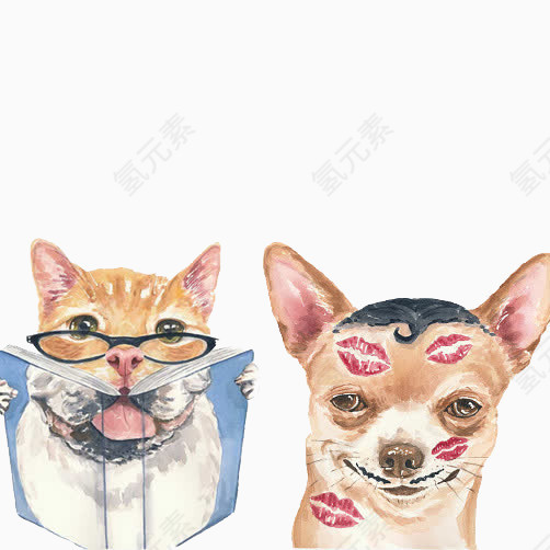 猫狗趣味图