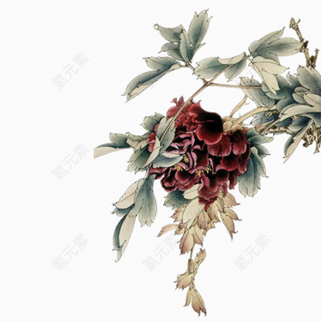 红花手绘