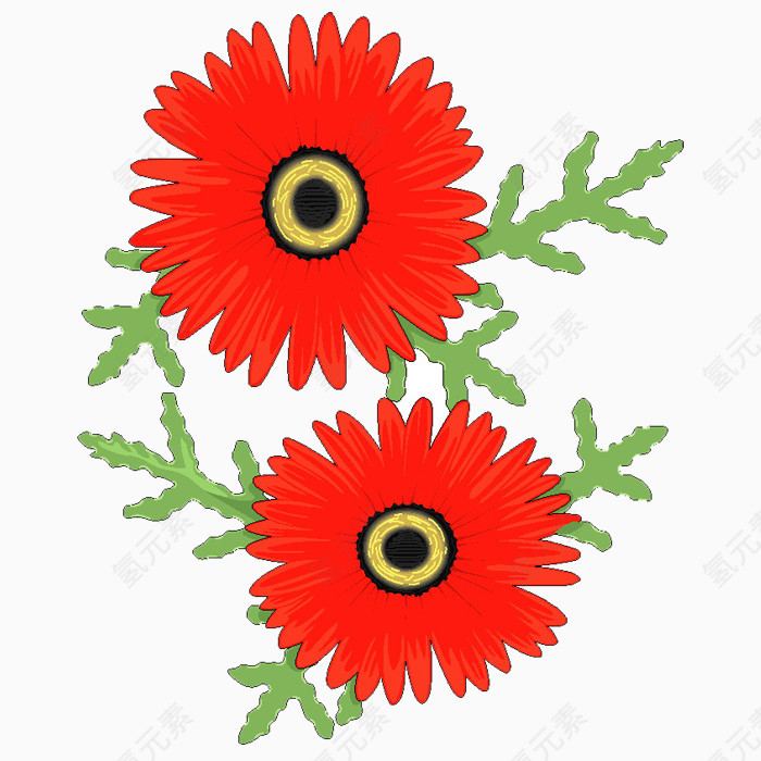 漂亮花儿免抠图透明png素材