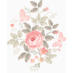 粉色蔷薇水彩画