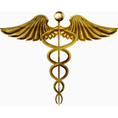 矢量金色医疗标志