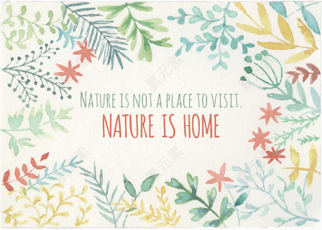 清爽淡雅水彩叶子合集