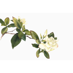 配饰卡通装饰图片