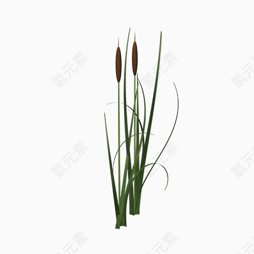 绿草素材