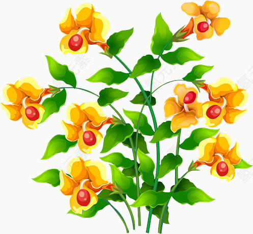 花枝
