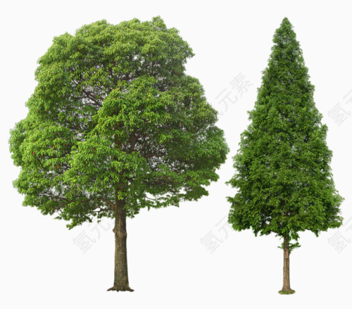 卡通装饰素材花卉背景素材