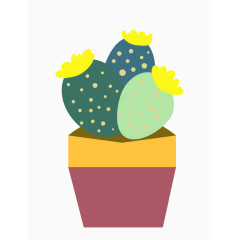 扁平化开花的仙人掌盆栽