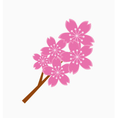 清新花瓣花朵花苞