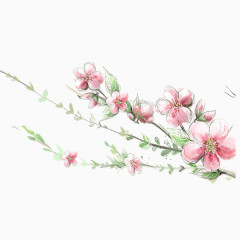 手绘精美桃花