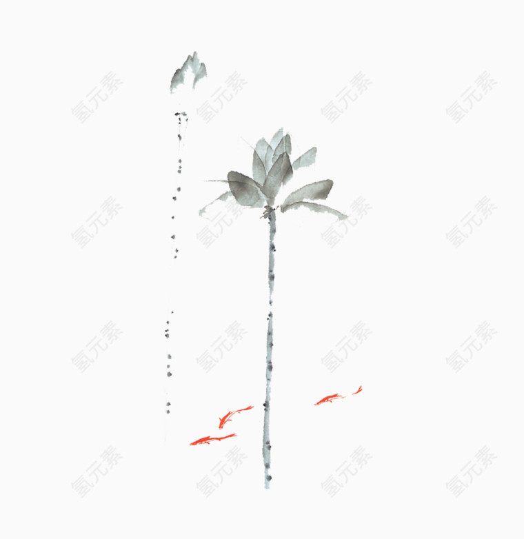 荷花