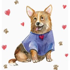 手绘穿衣服的柯基犬