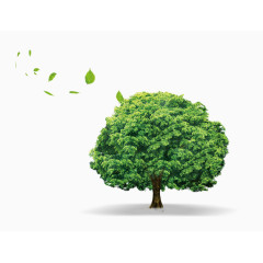 树木的真实场景