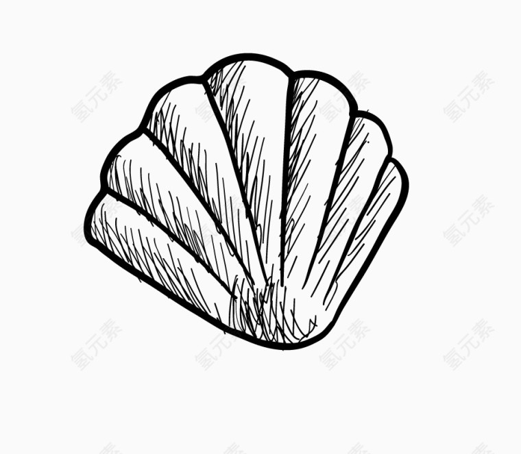 简笔画夏天贝壳
