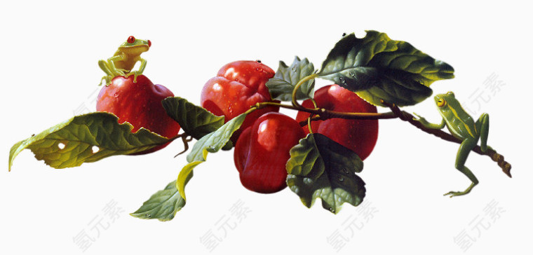 卡通唯美花卉图片