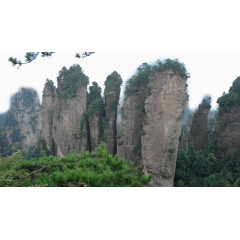 张家界国家森林公园十四