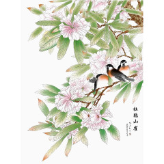 杜鹃花开引鸟来