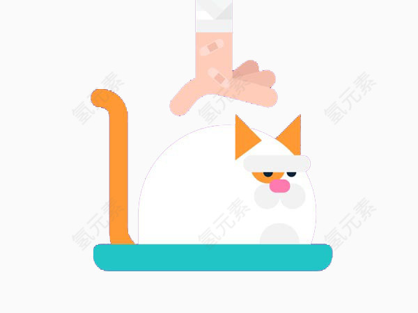 要抓猫咪的行为