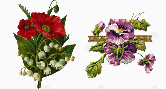 花朵实物素材库