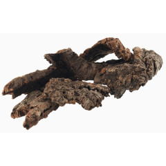 礁石  石头 海藻