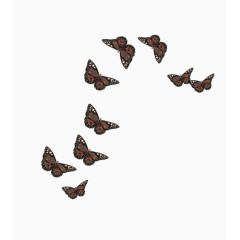手绘棕色蝴蝶素材