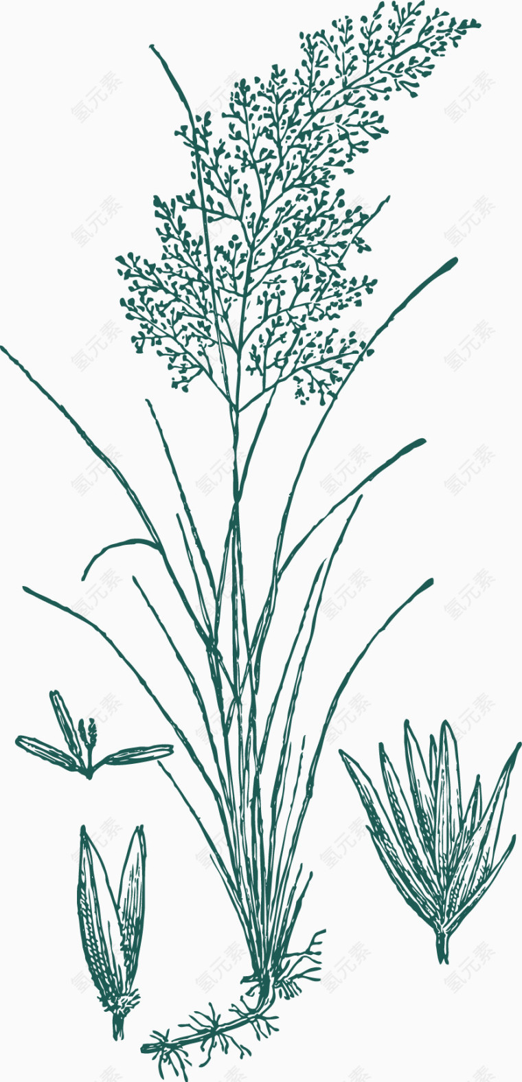 手绘草线稿