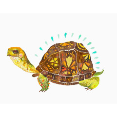 彩绘乌龟